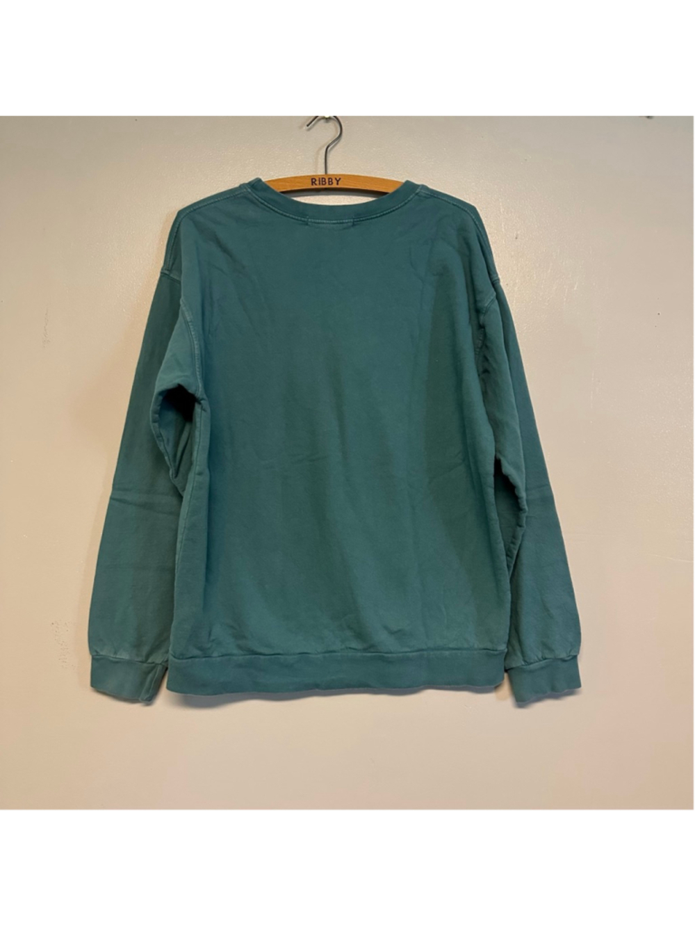 Project Social T Urban Outfitters Teal Vegan Graphic Sweatshirt small medium - Picture 3 of 5